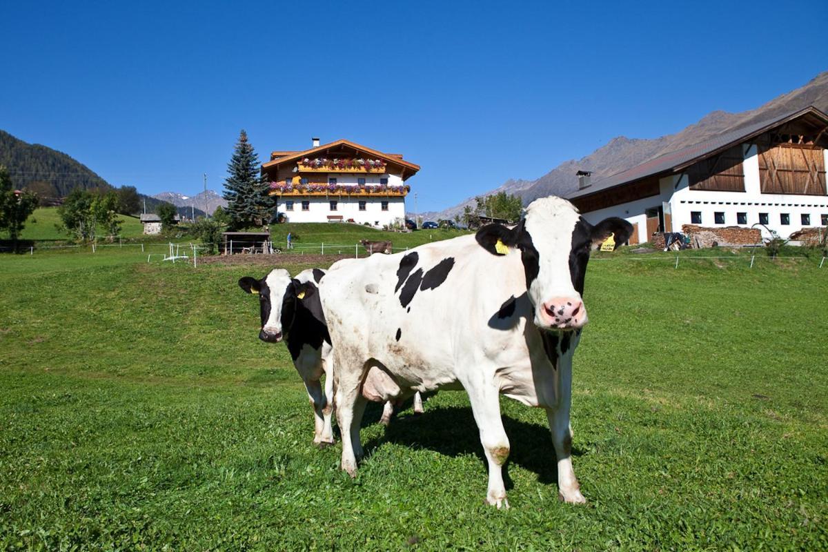 Schneiderhof, Chalet, Urlaub Auf Dem Bauernhof Риданна Экстерьер фото