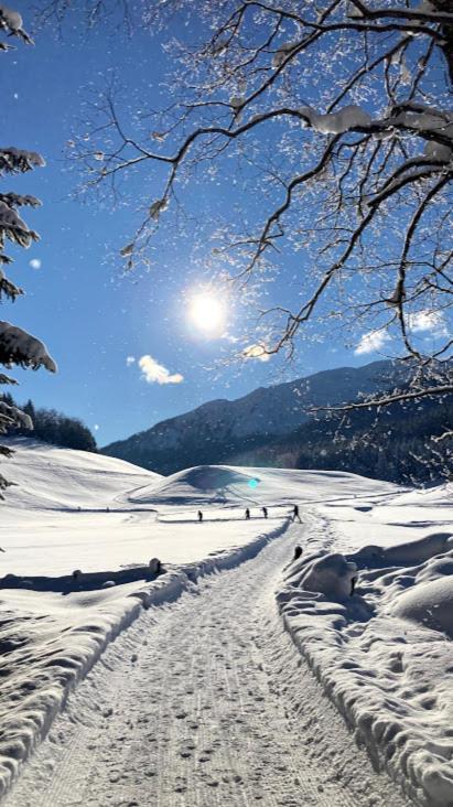 Schneiderhof, Chalet, Urlaub Auf Dem Bauernhof Риданна Экстерьер фото